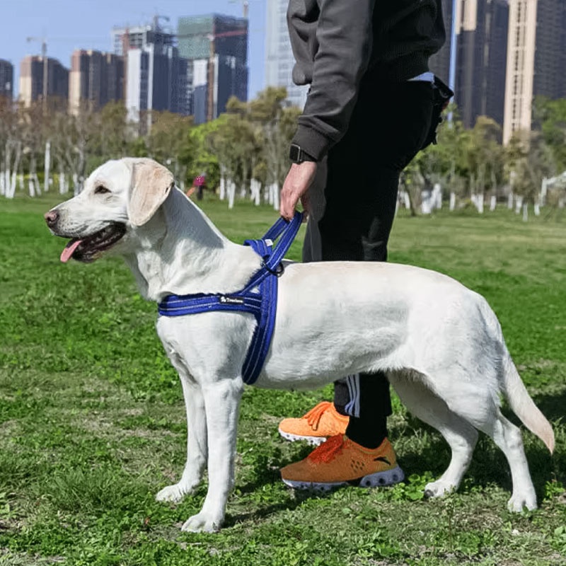 TRUELOVE รักแท้ สายรัดสัตว์เลี้ยงสายรัดสุนัขน้ําหนักเบาปรับสะท้อนแสงได้ด้วยหัวเข็มขัดที่วางจําหน่ายอย่างรวดเร็วระบายอากาศตาข่ายมือจับนุ่มส - รูปที่ 2