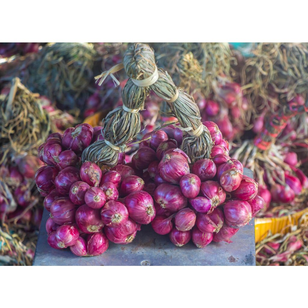 ใหม่หอมแดง ศรีสะเกษแท้ ตรงปก หอมแดงไทย มัดจุก คุณภาพดี เนื้อแน่น หัวสวย ครึ่งกิโล - รูปที่ 2