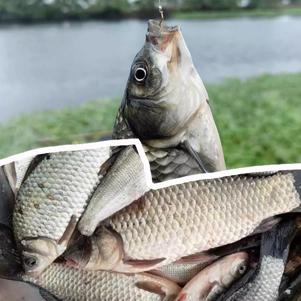 Andin 12 ชิ้น/แพ็คอัตโนมัติ Flip Fishhook, Anti Slip Sharp Barbed Gold Fishing Hook, ตกปลาเหล็กคาร์บอนสูง - รูปที่ 5