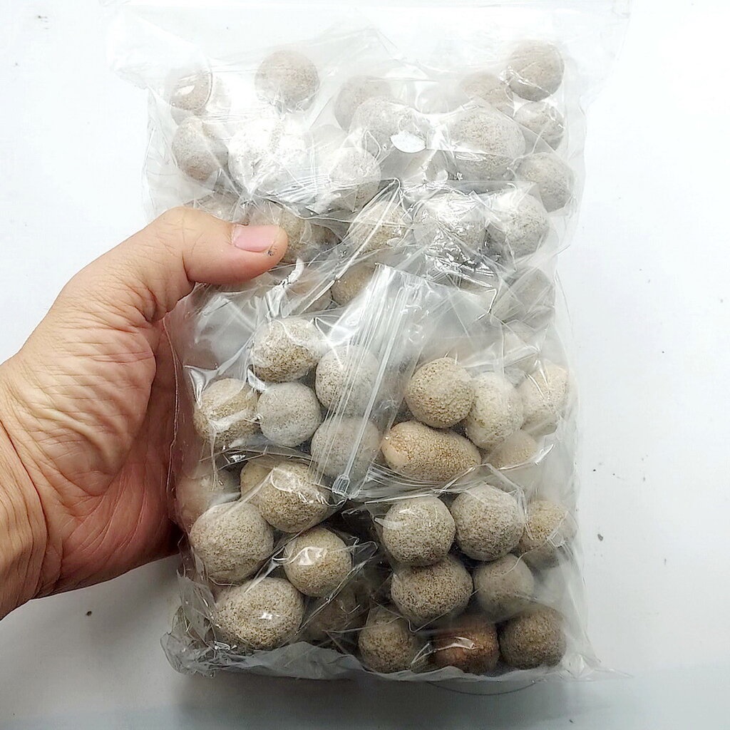 บูชาเหมาหินพระธาตุสิวลี 1.6 กิโลกรัม จากประเทศลาว