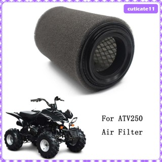 [Cuticate1] อะไหล่ไส้กรองอากาศ แบบเปลี่ยน สําหรับ ATV 250cc Xy250Stxe