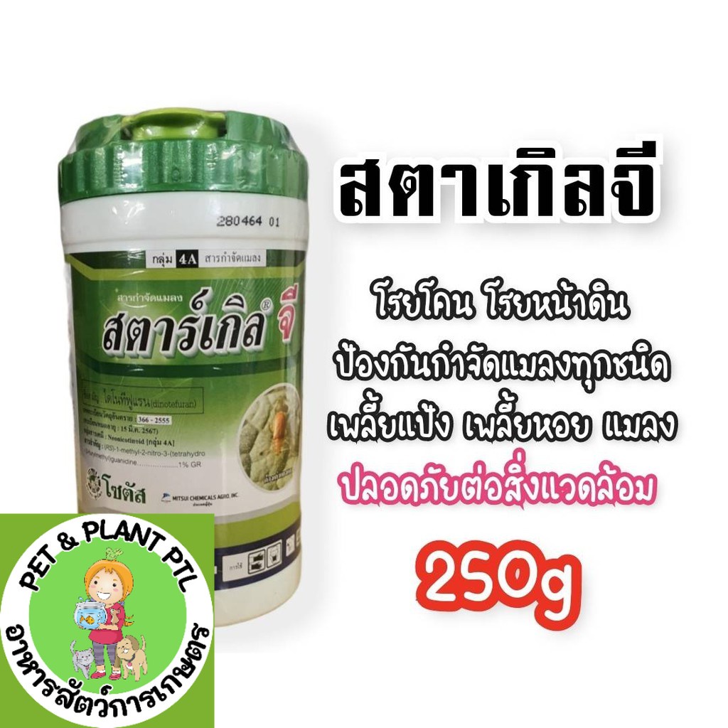 [แบบขวด] สตาร์เกิลจี (Starkle G) แบบขวดสตาเกิลจี สตาร์เกิล จี สตาเกิล จี สารกำจัดแมลงชนิดดูดซึมเข้าทางระบบราก