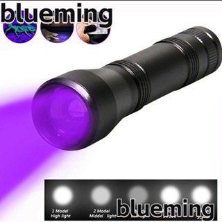 Blueming2 ไฟฉาย LED UV ตรวจจับรังสีอัลตราไวโอเลต สีดํา