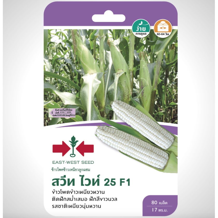 ข้าวโพดข้าวเหนียว สวีทไวท์25 SD/F1-037 เมล็ดพันธุ์ เมล็ดพันธุ์ลูกผสม เมล็ดพันธุ์ผัก ผักศรแดง F1