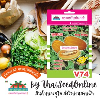 ADV ซฟ เมล็ดพันธุ์ แตงไทย ถุงทอง ตราตะวันต้นกล้า V74