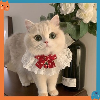สัตว์เลี้ยงโบว์ผ้าพันคอน่ารักนางฟ้าแมวผ้าพันคอสไตล์เจ้าหญิงแ…