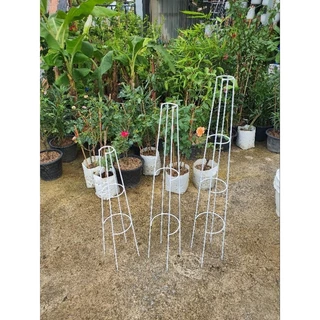 ** สั่งแยกจากสินค้าอื่น** ซุ้ม T-Rose ทรีโรส 70cm , 90cm , 100cm ซุ้มกุหลาบ