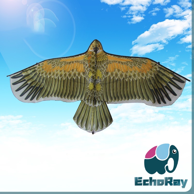 EchoRay ว่าว นกอินทรีย์ ว่าวไล่นก ว่าวไล่ ศัตรูพืชว่าวเด็ก อุปกรณ์ว่าว kite