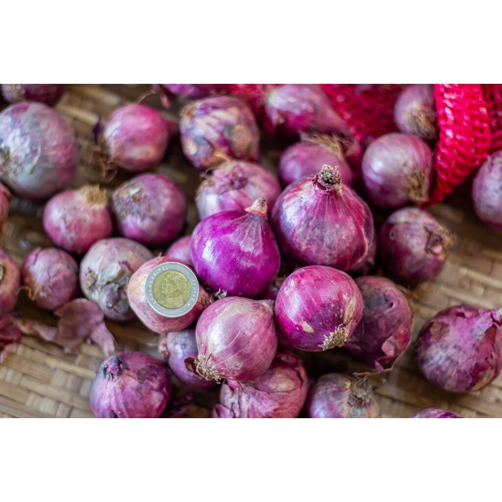 หอมแดงแขกหัวใหญ่ ครึ่งกิโลกรัม-1 กิโลกรัม สด แข็งทุกลูก แห้ง คัดพิเศษ