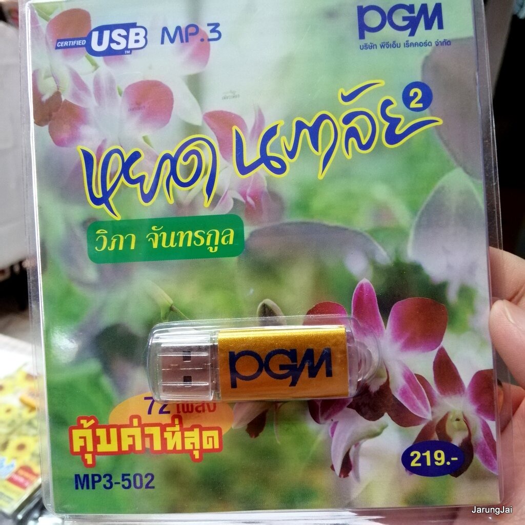 usb หยาด นภาลัย ชุด 2 วิภา จันทรกูล mp3-502 เทพเจ้าแห่งความระทม สวรรค์มืด mp3 usd pgm