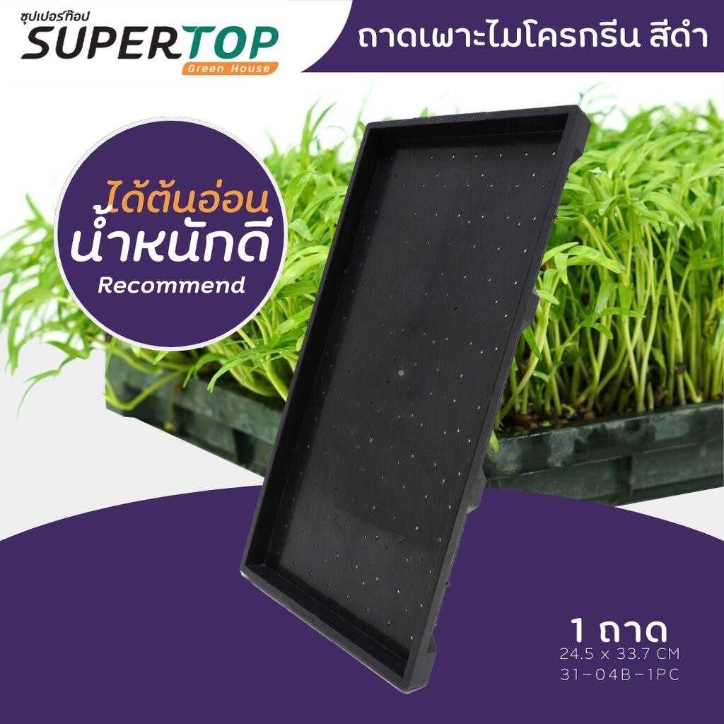 ถาดเพาะไมโครกรีน SUPERTOP สีดำ 30 x 60 cm.