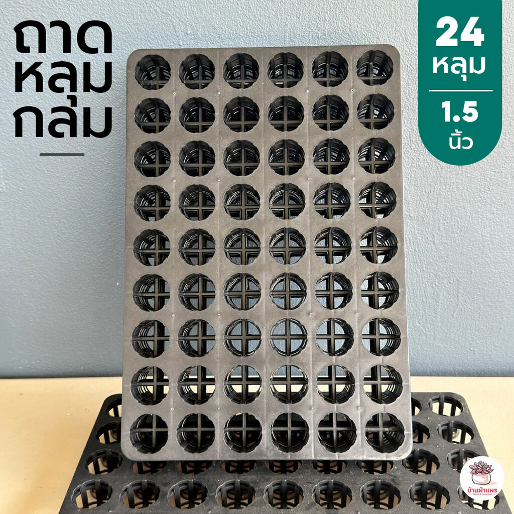 ถาดหลุมกลม 1.5 นิ้ว 54 หลุม ถาดใส่กระถางต้นไม้ ถาดหลุมพลาสติก