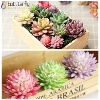 Buttterfly ต้นกระบองเพชรประดิษฐ์ DIY สําหรับตกแต่งบ้าน ออฟฟิศ สวน