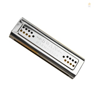 Woodwind Instruments: SWAN Harmonica 24 Holes C And G Double Tones Mouth Organ for Both Sides Playing