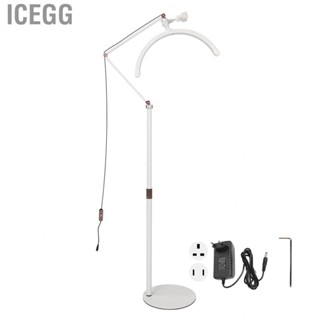 Icegg Half Moon Floor Lamp  Extendable 20W  White for Nail Beauty Salon