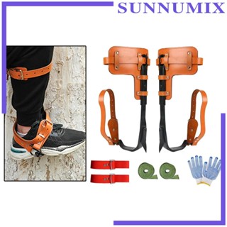 [Sunnimix] เข็มปีนต้นไม้ สเตนเลส สําหรับปีนต้นไม้ ทํางานปีนเขา