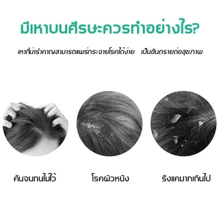 พร้อมส่ง 🔥หวีสางเหาไข่เหาก็หวีได้หมดขจัดเหาเป็นเรื่องง่ายเครื่องดูดเหา หวีเหาสางไข่เหาหวีดูดเหากำจัดเหาหวีเสนียดไฟฟ้า