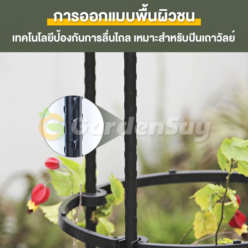 PG.ระแนงไม้เลื้อย ซุ