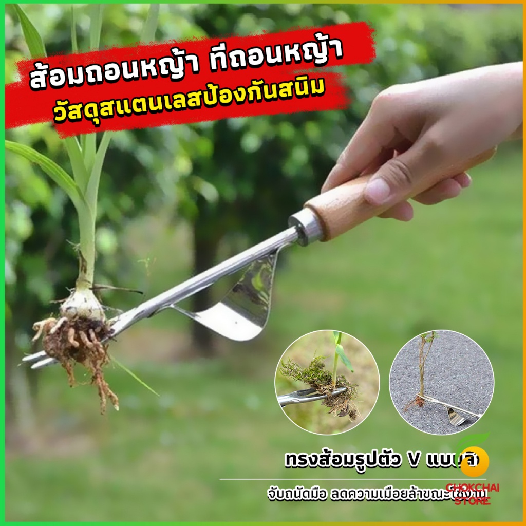 Chok ส้อมถอนหญ้า  ที่ขุดหญ้า ถึงราก ถึงโคน วัสดุสแตนเลส ทนทาน Weeding Fork