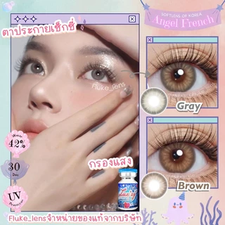 คอนแทคเลนส์ 🌟 Angel French gray / brown 🌟 รุ่นใหม่ เลนส์กรองแสง ใส่นิ่มสบายตา กรองแสง Luxzylens