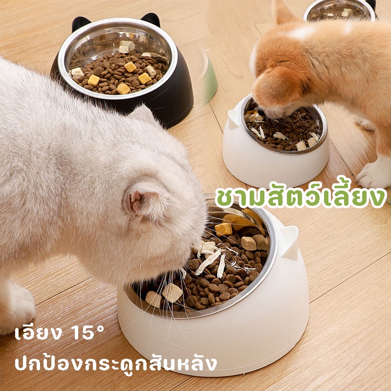 พร้อมส่ง ชามสัตว์เลี้ยง ชามอาหารสัตว์ อาหารสุนัข ามข้าวแมว ทรงเอียง 15 องศา หูแมวน่ารัก 200ML