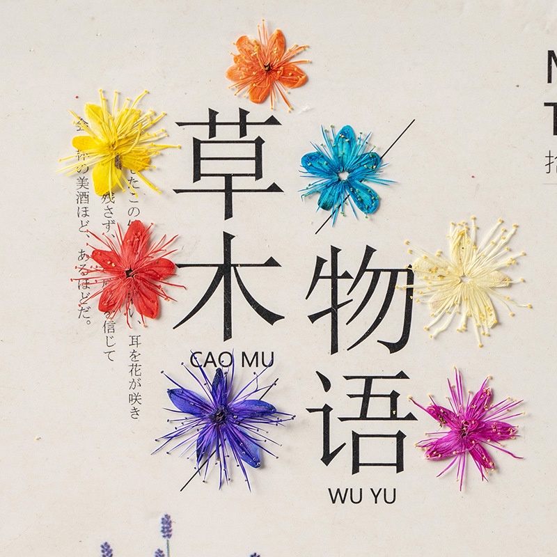 ที่คั่นหนังสือ ไม้จันทน์ ลายดอกไม้ สีขาว แฮนด์เมด DIY สําหรับสอน 12 ชิ้น