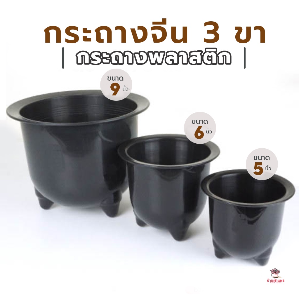 กระถางจีน 3 ขา กระถางพลาสติก แคคตัส กระบองเพชร ไม้อวบน้ำ Cactus&Succulent