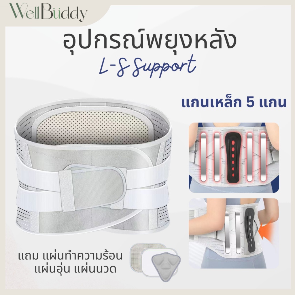 WellBuddy - อุปกรณ์พยุงหลัง เข็มขัดพยุงหลัง (LS Support)