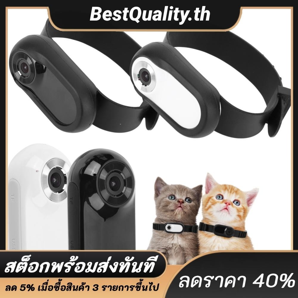 Hd 1080P ปลอกคอติดตามสุนัข แมว สัตว์เลี้ยง ปลอกคอกล้อง ขนาดเล็ก อุปกรณ์สําหรับสัตว์เลี้ยง