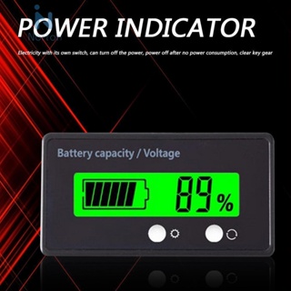 เครื่องวัดแรงดันไฟฟ้าแบตเตอรี่ 6-63V สําหรับแบตเตอรี่ลิเธียมไอออนตะกั่ว