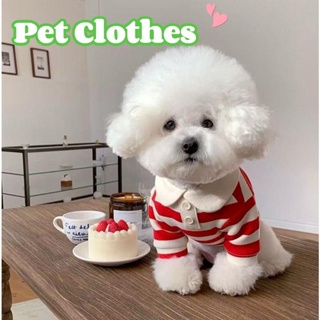 เสื้อผ้าสัตว์เลี้ยง เสื้อโปโล แบบสวมหัว คอปก ลาย Schnauzer Maltese Teddy Yorkshire Pomeranian สําหรับสุนัข แมว