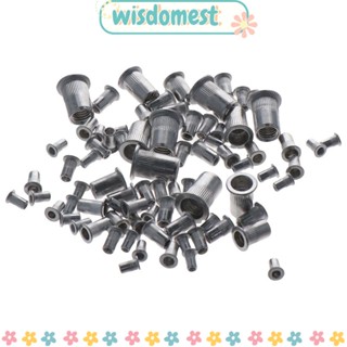 WISDOMEST ชุดหมุดรีเวทเมตริก หัวแบน อลูมิเนียม สีเงิน M3 M4 M5 M6 M8 M10 165 ชิ้น