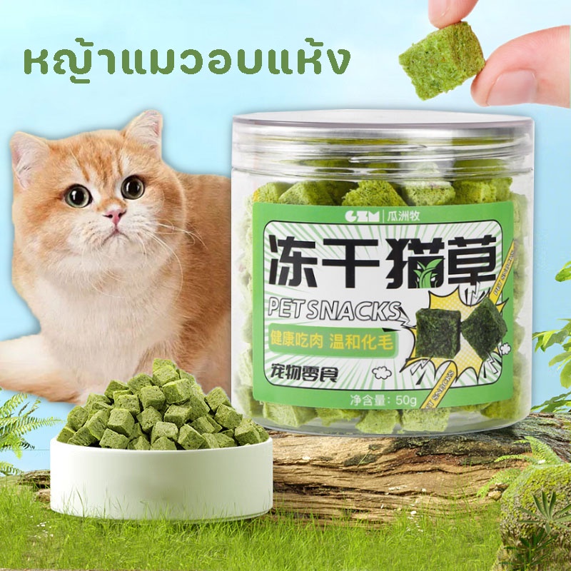 COD หญ้าแมวอบแห้ง 50กรัม ขนมแมวฟรีซดราย ต้นอ่อนข้าวสาลี ช่วยสำรอกก้อนขน