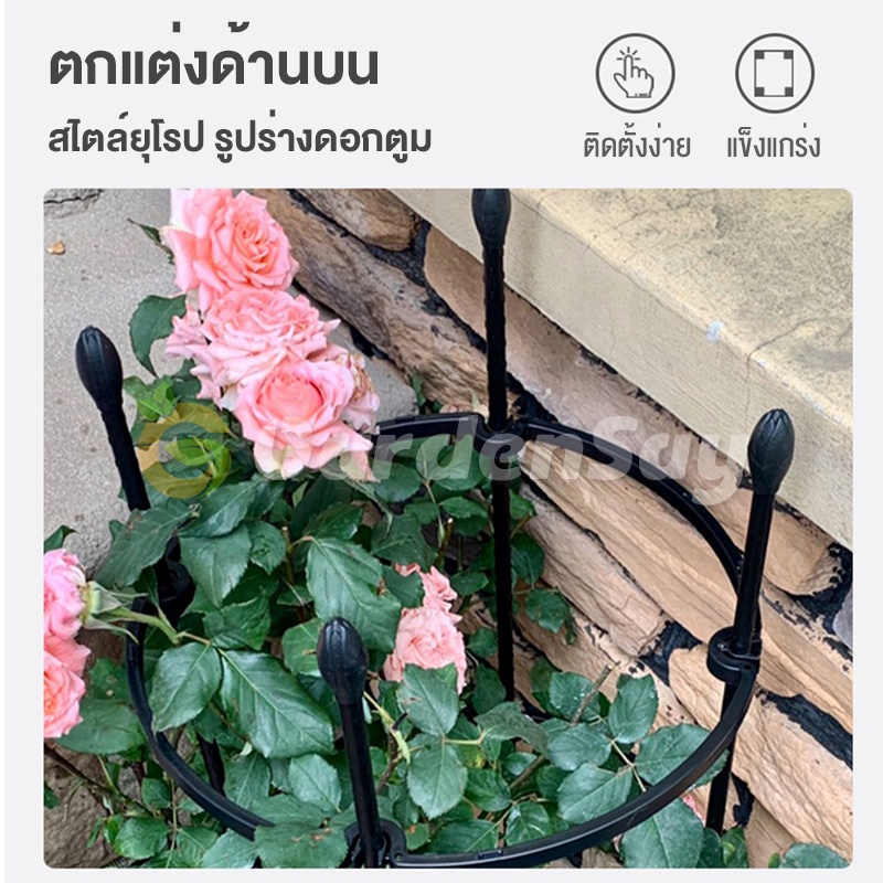 PG.ระแนงไม้เลื้อย ซุ