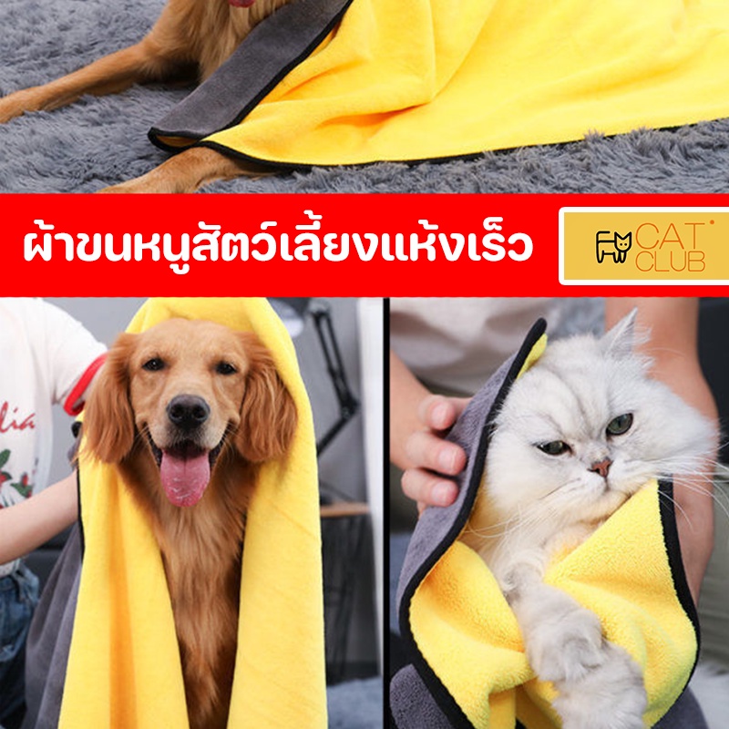 CAT CLUB ผ้าขนหนูสัตว์เลี้ยง เช็ดขนแมว เช็ดขนสุนัข ผ้าไมโครไฟเบอร์ ซึมซับน้ำ แห้งเร็ว นุ่มและไม่เป็นขุย