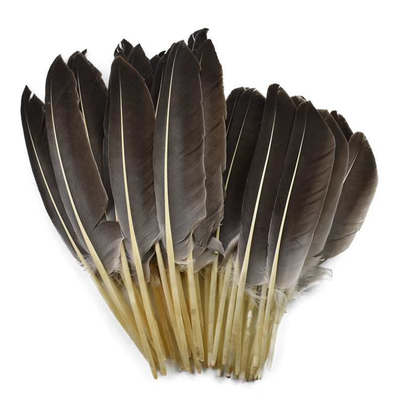 10 ชิ้น/ล็อตธรรมชาติตุรกี Feathers เป็ด Goose Wing Feather สําหรับหัตถกรรมหมวก 25-30 ซม.10-12 "Carnival ปากกา Plumes Party Manmade ตกแต่ง