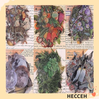 Hecceh สติกเกอร์ PET ลายดอกไม้ สัตว์ หลากสี สําหรับติดตกแต่งสมุดภาพ DIY 240 ชิ้น