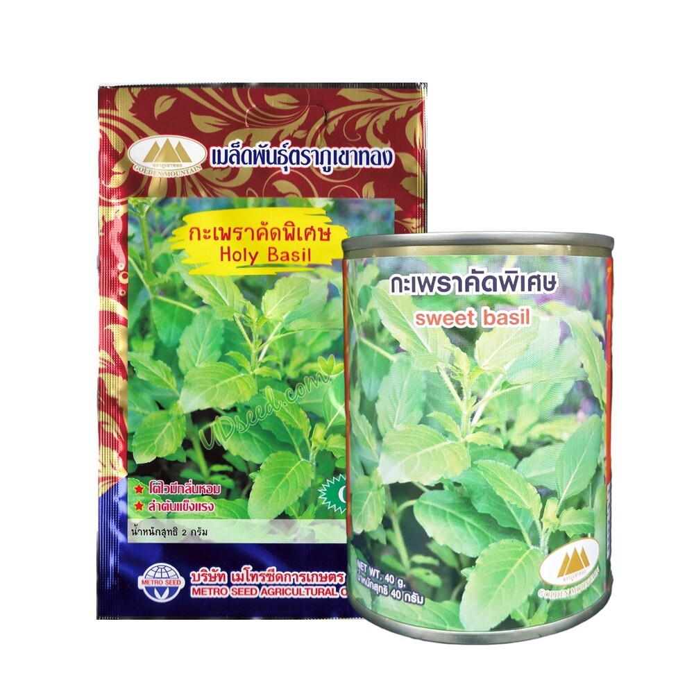กะเพราคัดพิเศษ MT/OP-007 Holy Basil ตราภูเขาทอง ขนาด 2 กรัม เมล็ด เมล็ดพันธุ์กะเพรา เมล็ดผักสวนครัว