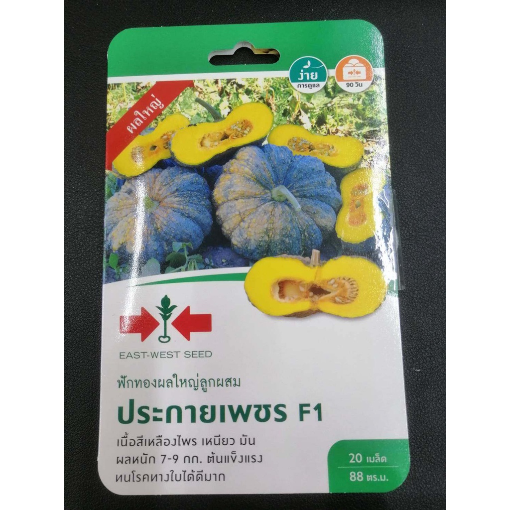 ฟักทอง ลูกผสม ประกายเพชร SD/F1-017 ผักซองศรแดง F1 เมล็ดพันธุ์ลูกผสม เมล็ดพันธุ์ผักสวนครัว ผักศรแดง