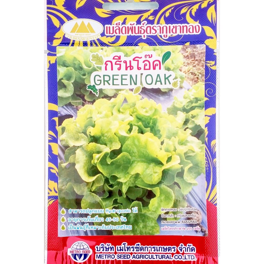 เมล็ดผักสลัด กรีนโอ๊ค Green oak MT/LT-01 ตราภูเขาทอง ประมาณ200เมล็ด เมล็ดกรีนโอ๊ค เมล็ดผักสวนครัว