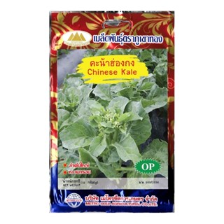 เมล็ดคะน้าฮ่องกง Chinese Kale MT/OP-051 เมล็ดพันธุ์คะน้าฮ่อง…