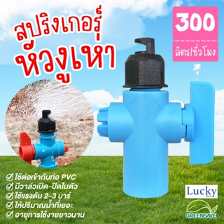 สปริงเกอร์ หัวฉีดด้านเดียว (หัวงูเห่า) พร้อมวาล์วเปิด-ปิด จ่ายน้ำ 180 องศา อัตราการไหล 150-300 ลิตร/ชม.