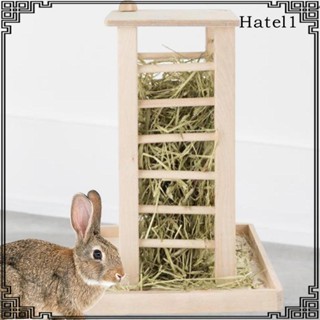 [Hatel] เครื่องให้อาหารกระต่าย แบบไม้
