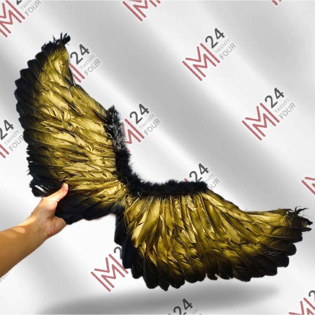 (1 อัน) สีทองขอบดำ 35x80 c.m. ปีกขนนก ปีกนางฟ้า ปีกนางฟ้าขนนก ปีกแฟนซี angel feather wing m24