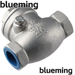 Blueming2 เช็ควาล์ว สเตนเลส 304 WOG 200 PSI แนวนอน ทางเดียว ทนทาน CF8M NPT 1/2 นิ้ว