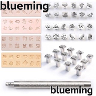 Blueming2 แสตมป์หนัง โลหะผสมสังกะสี พิมพ์ลายโลโก้ ทนทาน สําหรับกระเป๋าเดินทาง