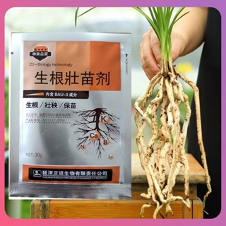 Creative Rapid Rooting Powderฮอร์โมนการเจริญเติบโตของรากที่แข็งแกร่งสำหรับการงอกของเมล็ดที่ประสบความสำเร็จการพัฒนาพืชเมล็ดพันธุ์ดอกไม้เมล็ดปุ๋ยการงอกของเมล็ดรากที่แข็งแกร่งการเจริญเติบโตของรากที่แ