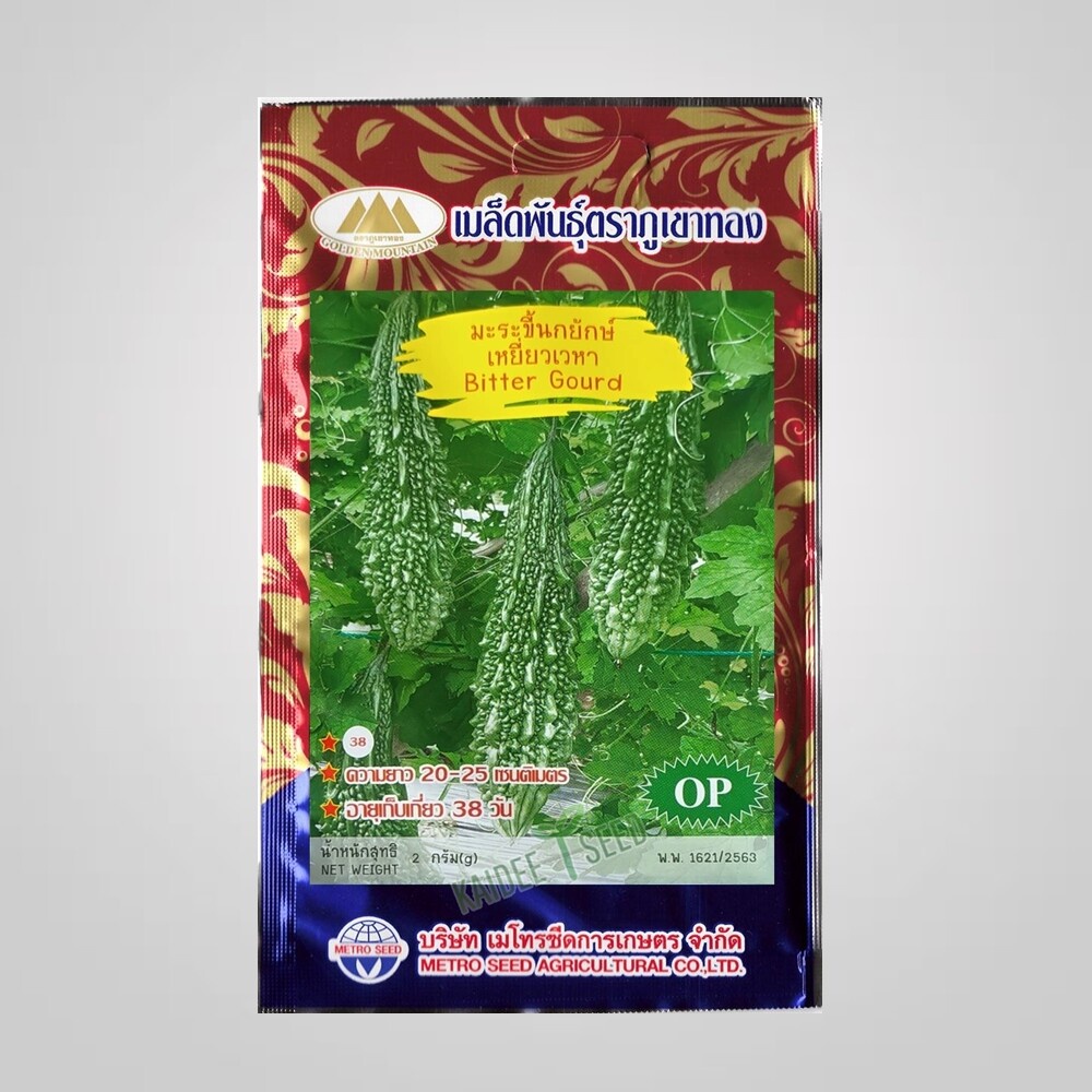 เมล็ดมะระขี้นกยักษ์ เหยี่ยวเวหา Bitter Gourd MT/OP-038 ตราภูเขาทอง เมล็ดพันธุ์มะระขี้นก ผักสวนครัว