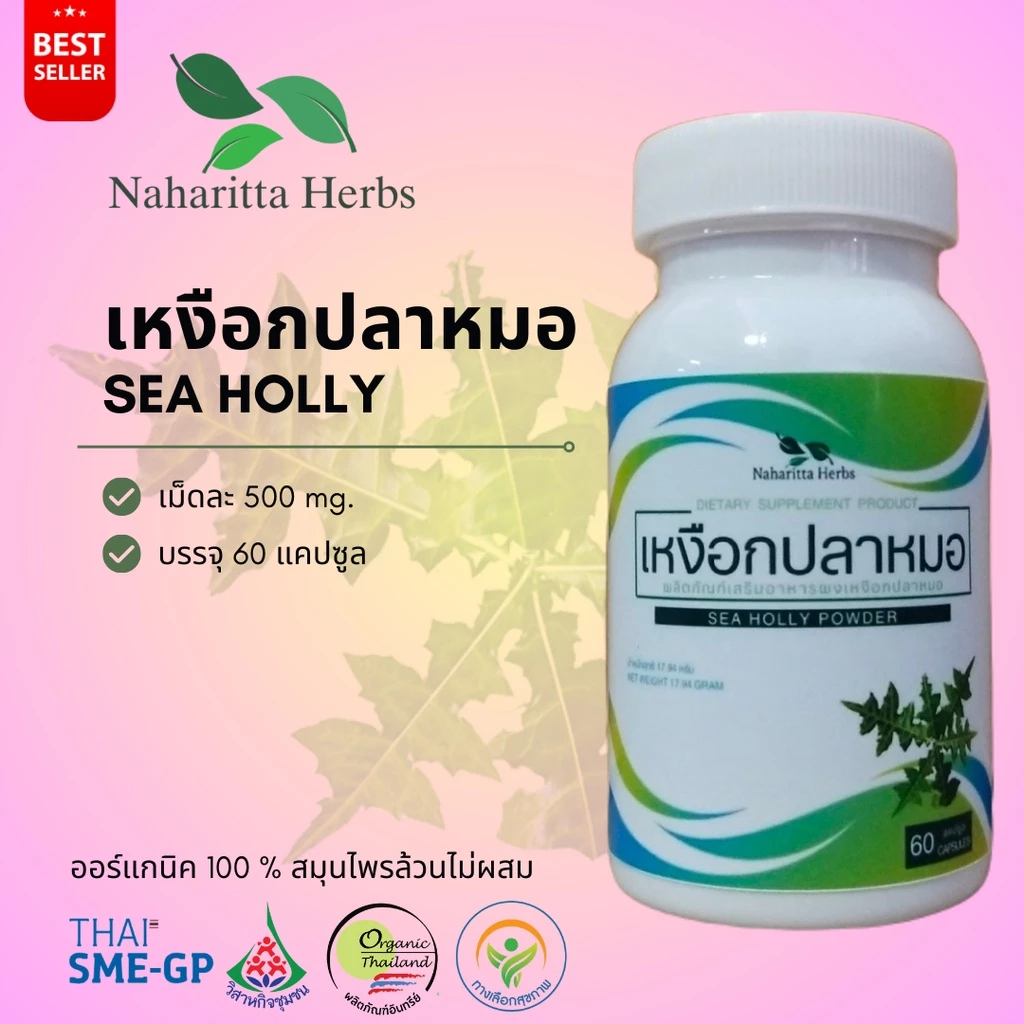 เหงือกปลาหมอ Sea holly 100% 60cap. เลือกขนาดได้ในตัวเลือก