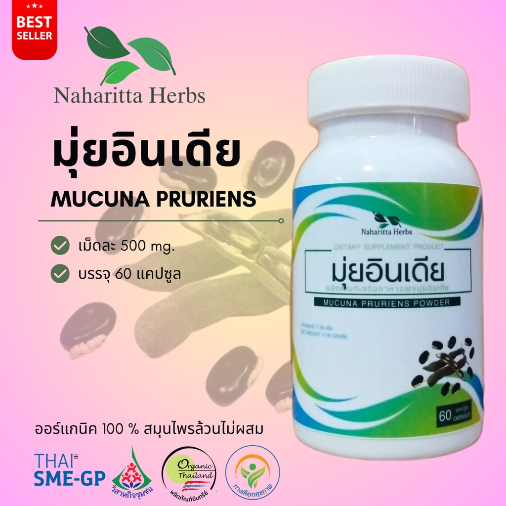 มุ่ยอินเดีย Mucuna pruriens 100% 60cap. ส่งไว คุณภาพดี